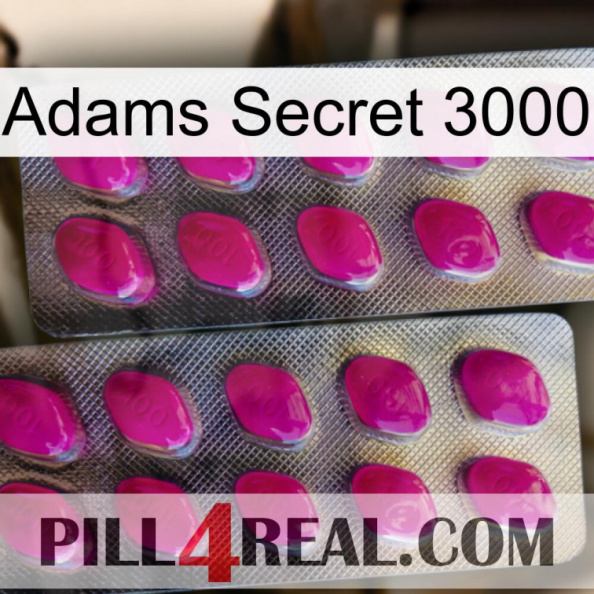 Adams Secret 3000 10.jpg